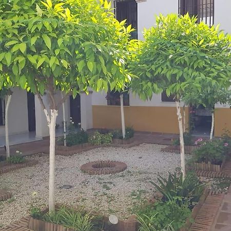 Precioso Apartamento Junto A Plaza La Corredera Kordoba Bagian luar foto