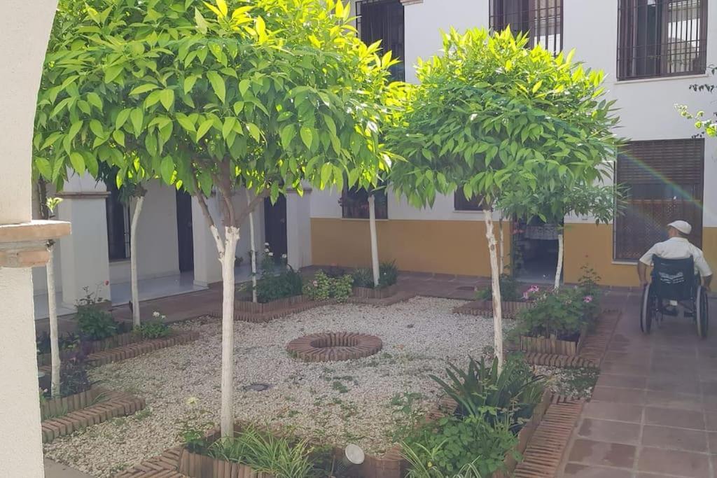 Precioso Apartamento Junto A Plaza La Corredera Kordoba Bagian luar foto